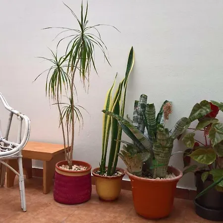 Apartamento Rosaleda Melide Buitenkant foto